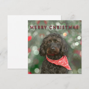 Svart hund labradoodle Jul Kort