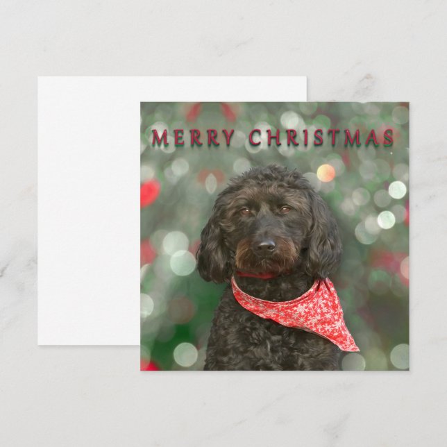 Svart hund labradoodle Jul Kort (Fram/baksida)