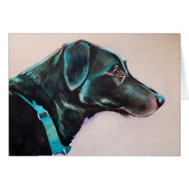 Svart Hund med pensim Hälsningskort