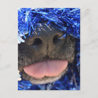 Svart Hund Nose med blått tinsel Tunga ut Vykort