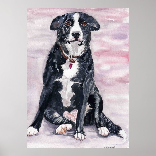 'Svart Hund' Poster (Framsidan)