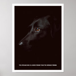 Svart hund Poster