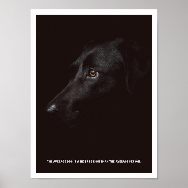 Svart hund Poster (Framsidan)