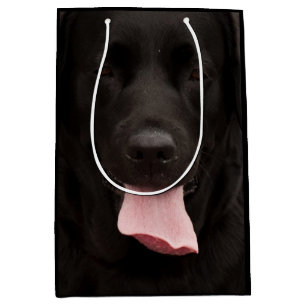 Svart hundporträtt