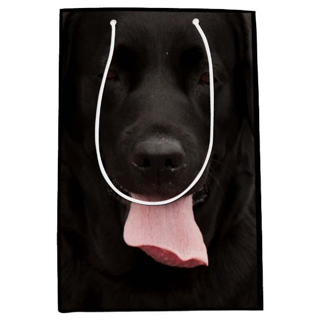 Svart hundporträtt (Framsidan)