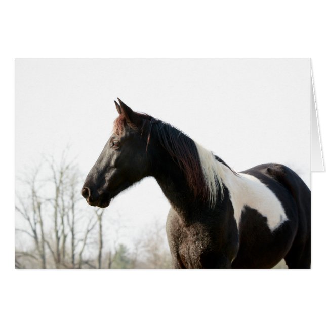 Svart jack hälsningskort (Framsidan Horizontal)