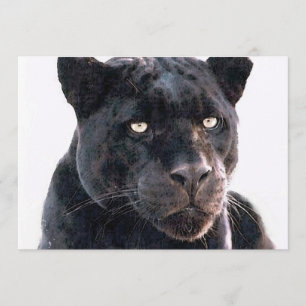 Svart Jaguar-inbjudan Inbjudningar