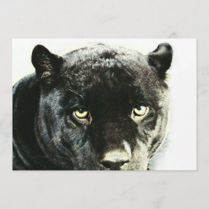 Svart Jaguar Panther Ögon-inbjudan Inbjudningar