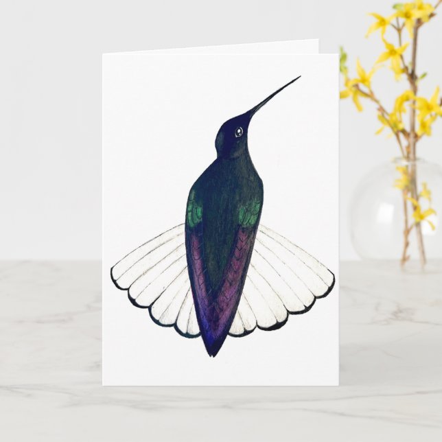 Svart Jakobin Kolibri  Kort (Gul blomma)