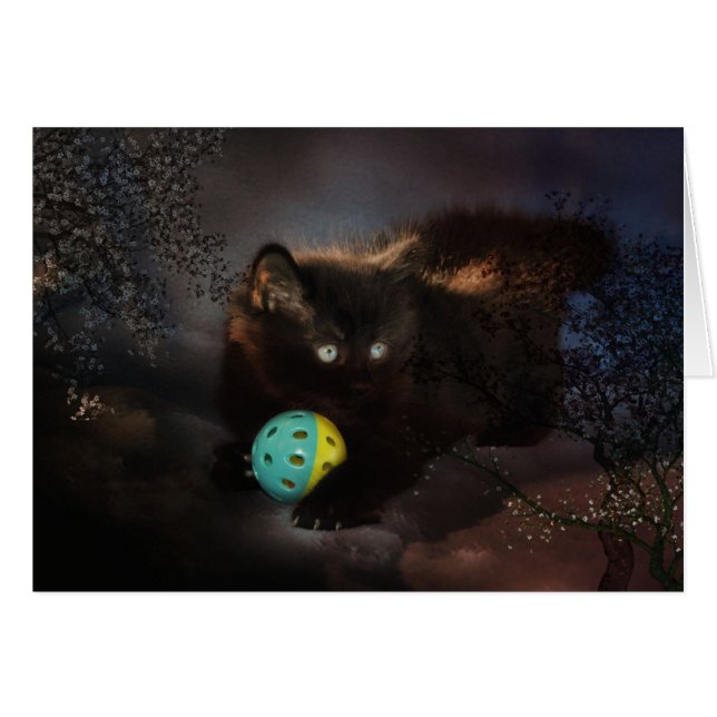 Svart jellyaböna hälsningskort (Framsidan Horizontal)