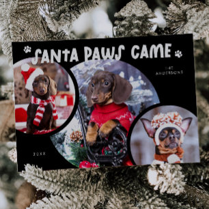 Svart julkort med Santa Paws-hundfoto