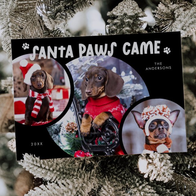 Svart julkort med Santa Paws-hundfoto (Skapare uppladdad)