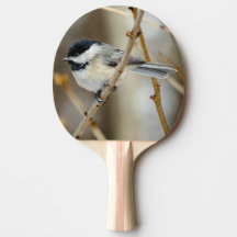 Svart kammussla Chickadee Ping Pong Paddle