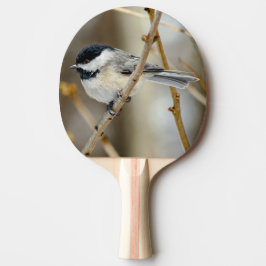 Svart kammussla Chickadee Ping Pong Paddle Pingisracket