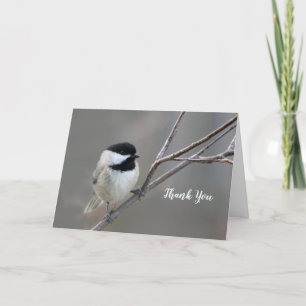 Svart kamrat Chickadee Photo Tack Kort
