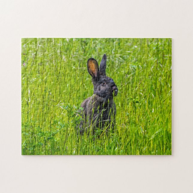 Svart kaningpuzzel pussel (Horisontell)