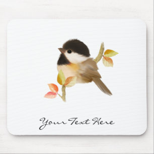 Svart-kapad Chickadee Bird Musmatta