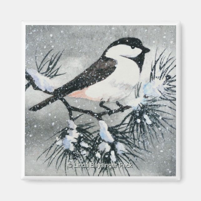 Svart, kapad Chickadee Bird Square Magnet (Framsidan)