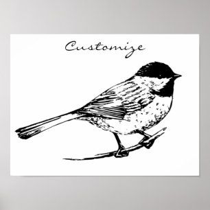 Svart-kapad Chickadee Thunder_Cove Poster