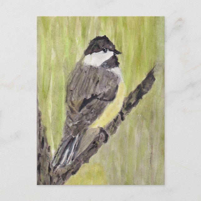 Svart-kapade Chickadee Bird - akrylmålning. Vykort (Framsida)