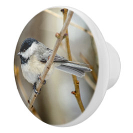 Svart kapslad chickadee Ceramic Knob Knopp