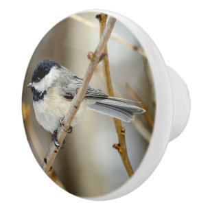 Svart kapslad chickadee Ceramic Knob Knopp