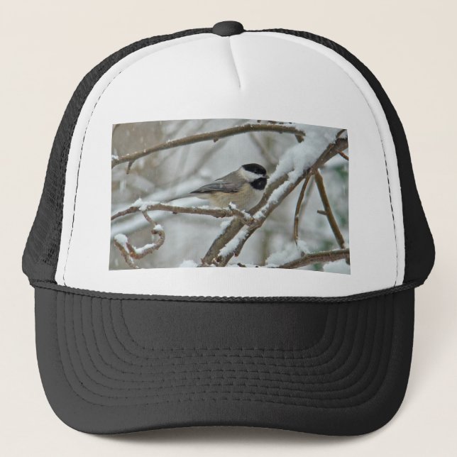 Svart-kapslad Chickadee i Snö Storm Keps (Framsida)