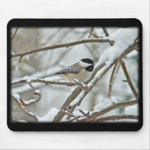 Svart-kapslad Chickadee i Snö Storm Musmatta