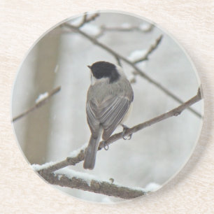 Svart-kapslad Chickadee i Snö Storm Underlägg