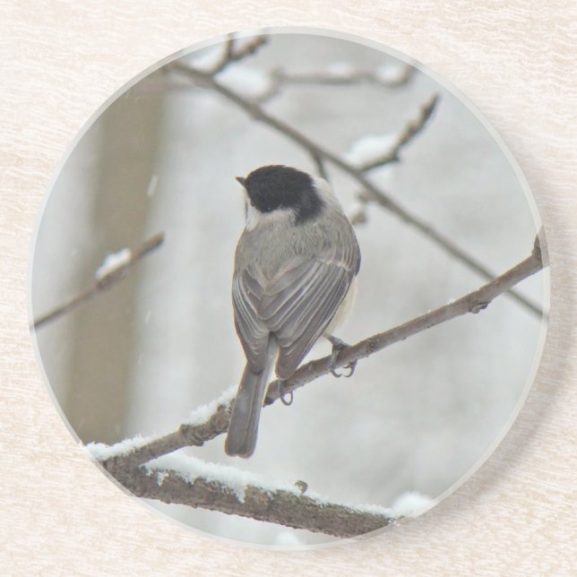 Svart-kapslad Chickadee i Snö Storm Underlägg (Framsidan)