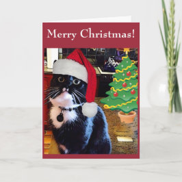 Svart Kat "O Julgran"-kort Helgkort