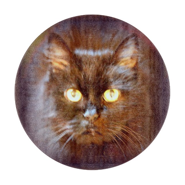 svart katt (Framsidan)