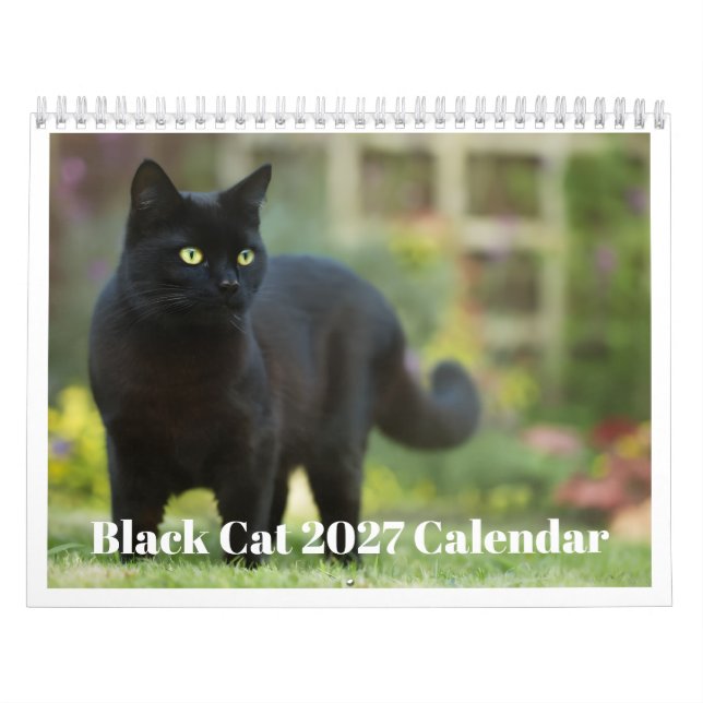 Svart Katt 2027 Kalender (Omslag)