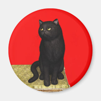 Svart Katt 2 Magnet