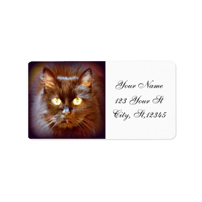 svart katt adressetikett (Framsidan)