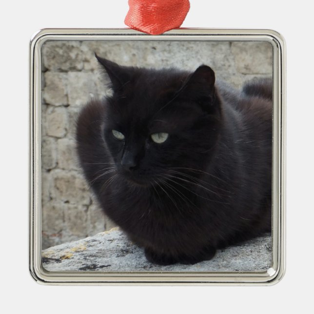 Svart katt anpassningsbar, ornament (Framsidan)