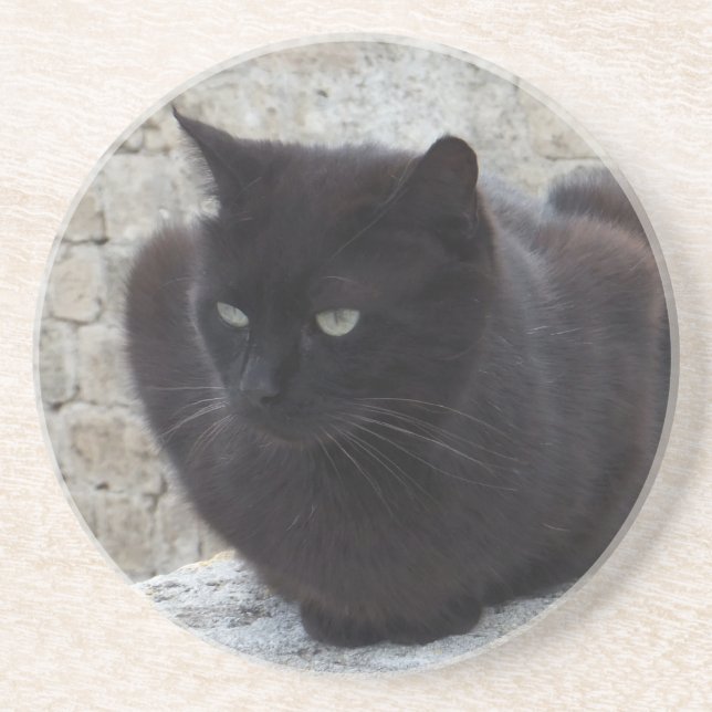 Svart katt-anpassningsbar underlägg (Framsidan)