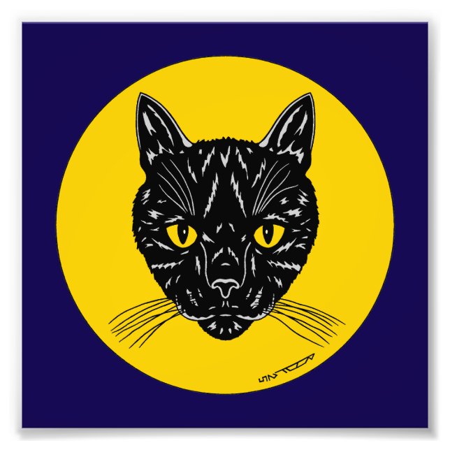 Svart katt ansikte foto tryck (Framsidan)