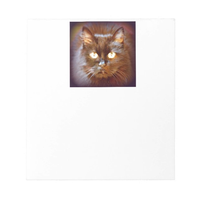svart katt anteckningsblock (Framsida)