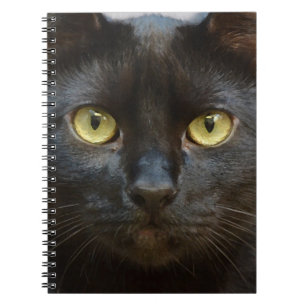 Svart katt anteckningsbok