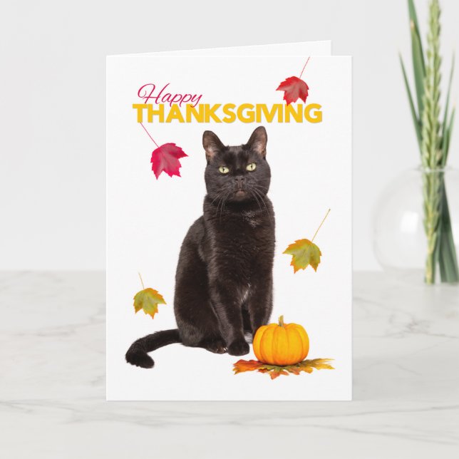 Svart katt av happy thanksgiving med Höst löv Helgkort (Framsida)