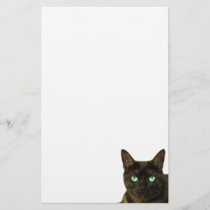 Svart katt brevpapper