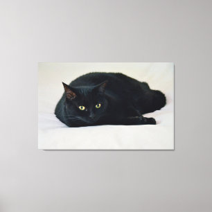 Svart katt canvastryck