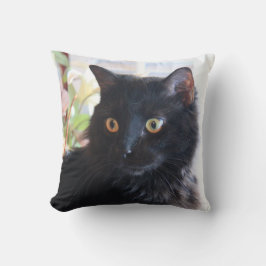 Svart katt, dekorativ kudde
