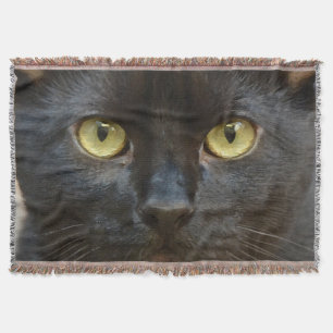 Svart katt filt