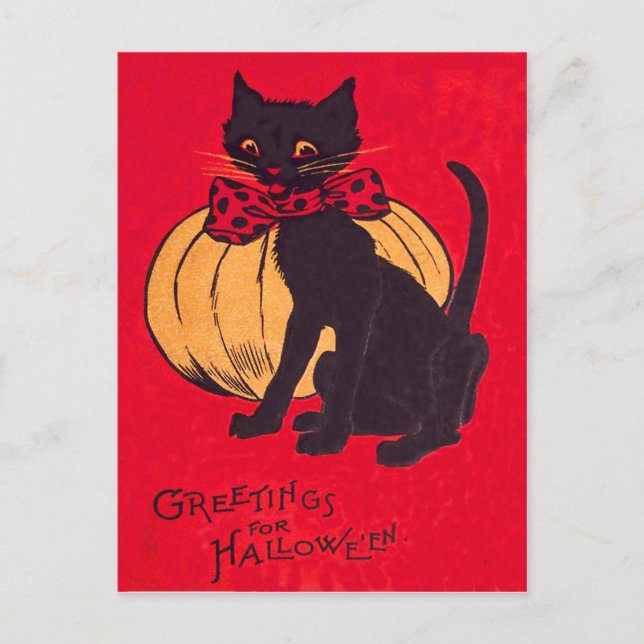 Svart Katt Fläskbindeskorv Pumpa Vintage Vykort (Framsida)