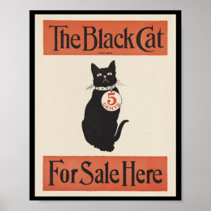 Svart katt för försäljning här poster