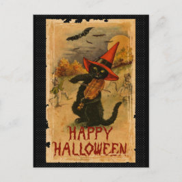 Svart katt för happy halloween som leker vykort