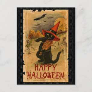 Svart katt för happy halloween som leker vykort