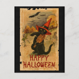Svart katt för happy halloween som leker vykort